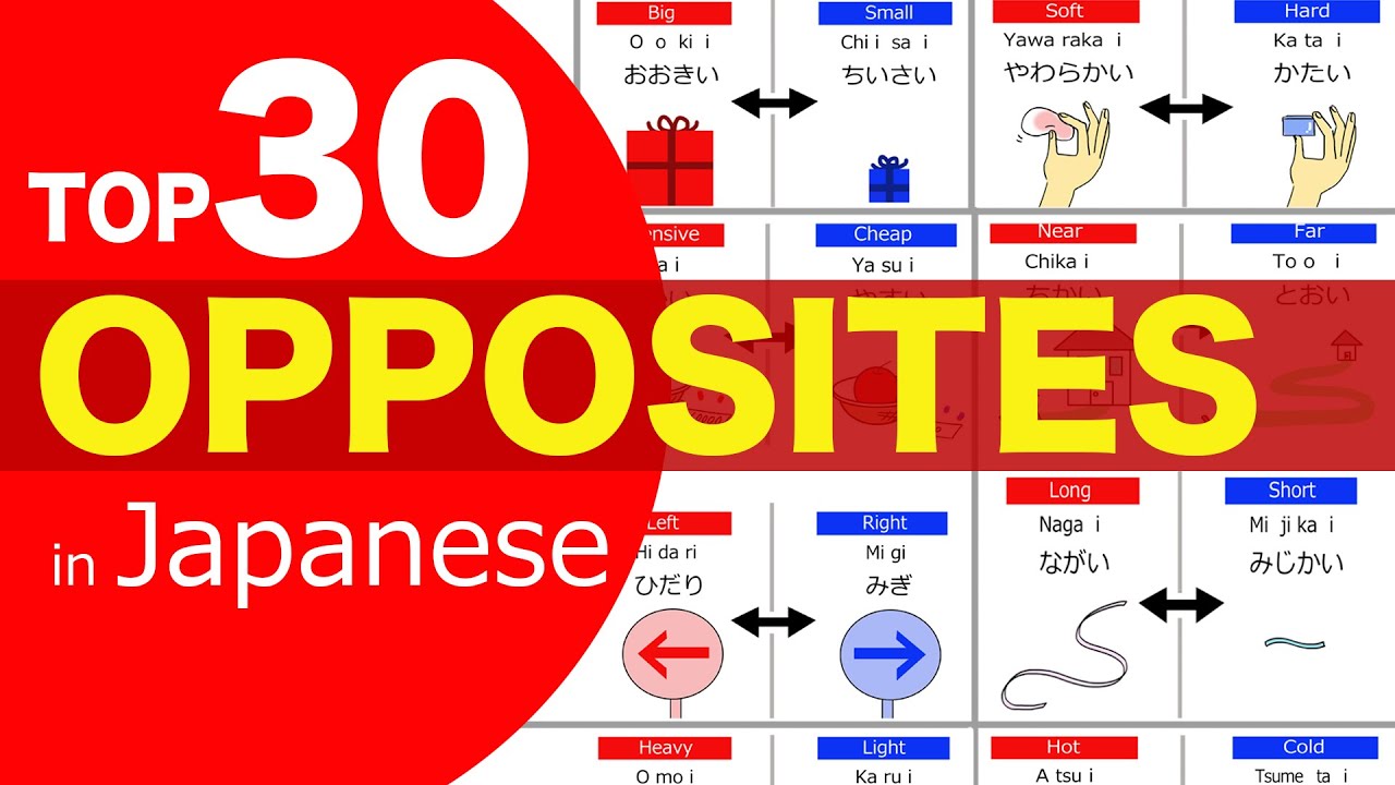 Opposite Words in Japanese 🇯🇵Big & Small, Hot & Cold,  Long & Short, Soft & Hard etc