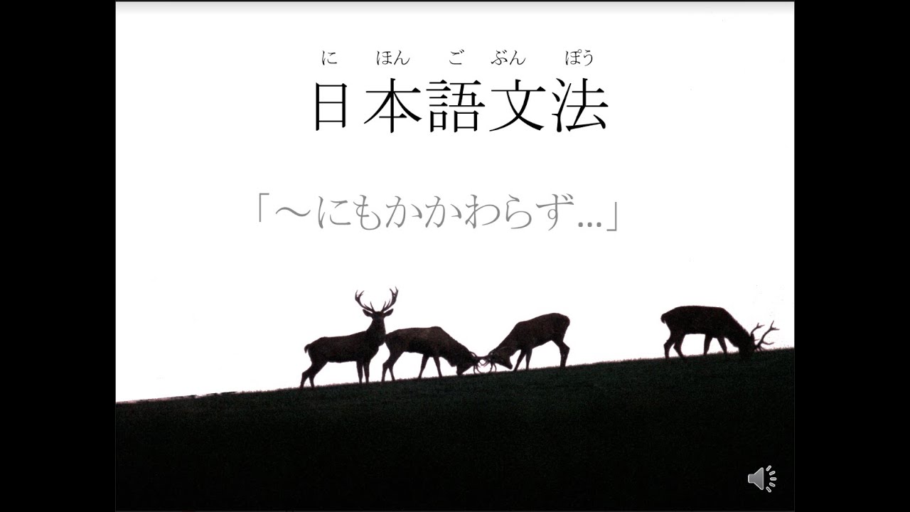 【N2 Japanese grammar 】
