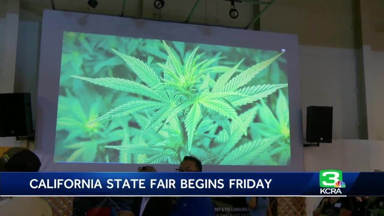 The 2022 California State Fair will feature its first-ever cannabis exhibit