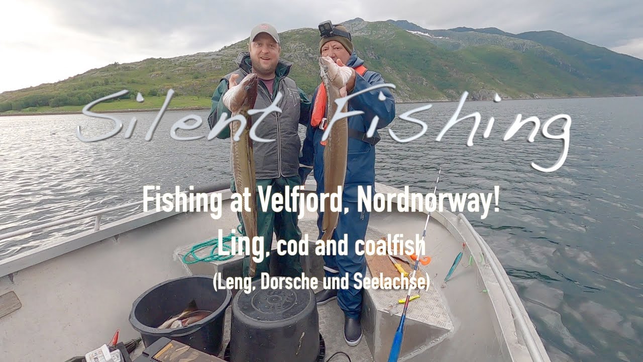 Fishing at Velfjord, Nordnorway! Ling, cod and coalfish (Leng, Dorsche und Seelachse)#fishing #fish