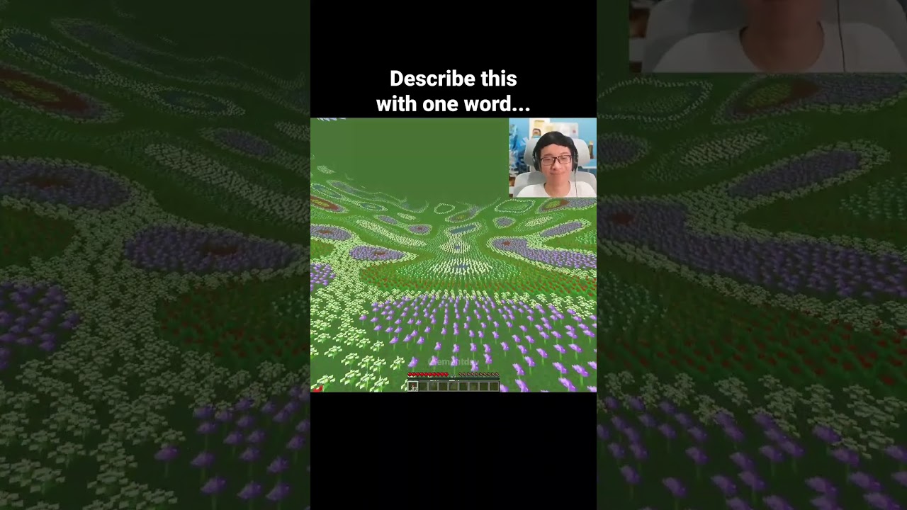 Minecraft Flower World Moment