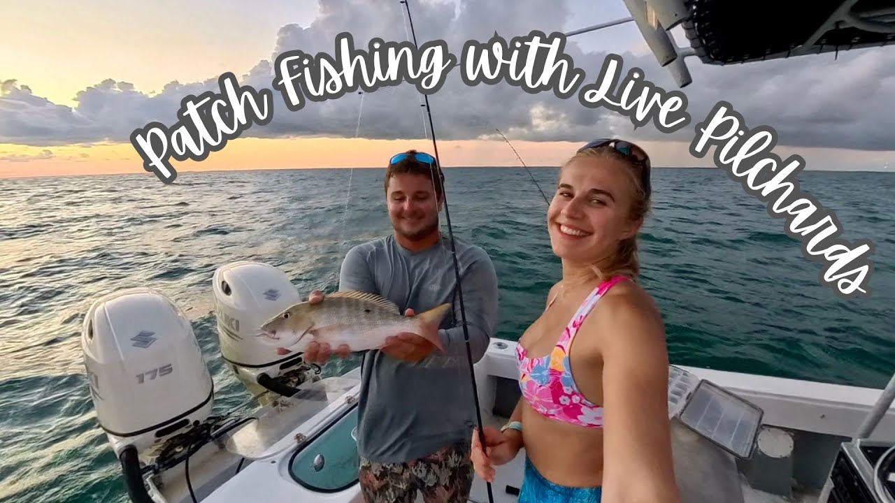 Patch Fishing with Live Pilchards