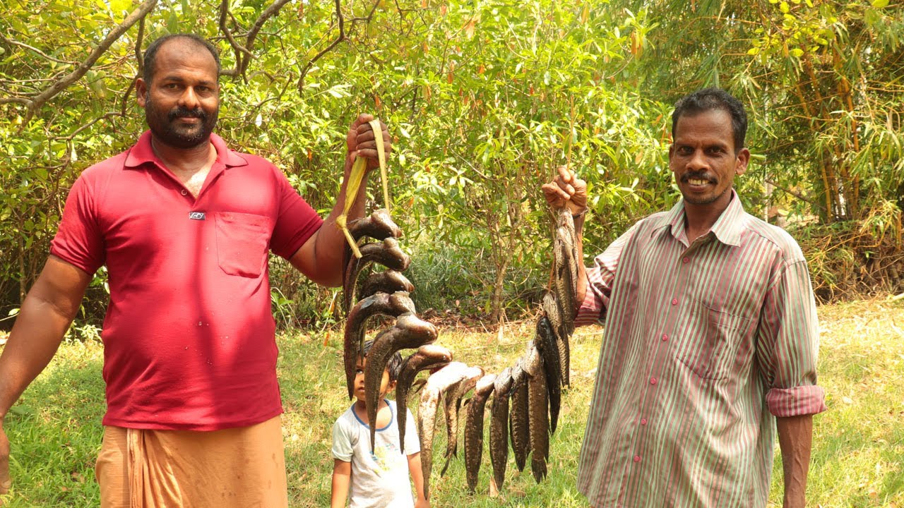 ഷാപ്പ് സ്റ്റൈലിൽ വരാൽ വാഴയിലയിൽ പൊള്ളിച്ചത് | MEEN POLLICHATHU | Special Fish Fry in Banana Leaf