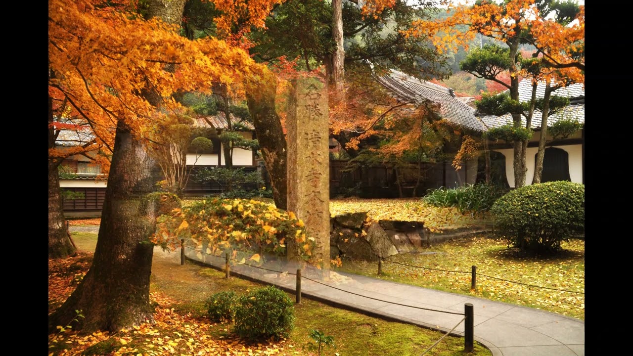 202512 03 みやま市清水寺本坊庭園の紅葉