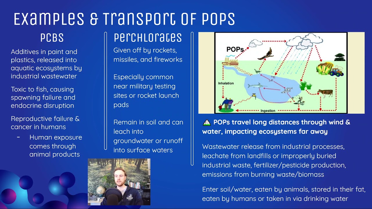 AP Environmental Science 8.7 - Persistent Organic Pollutants POPs