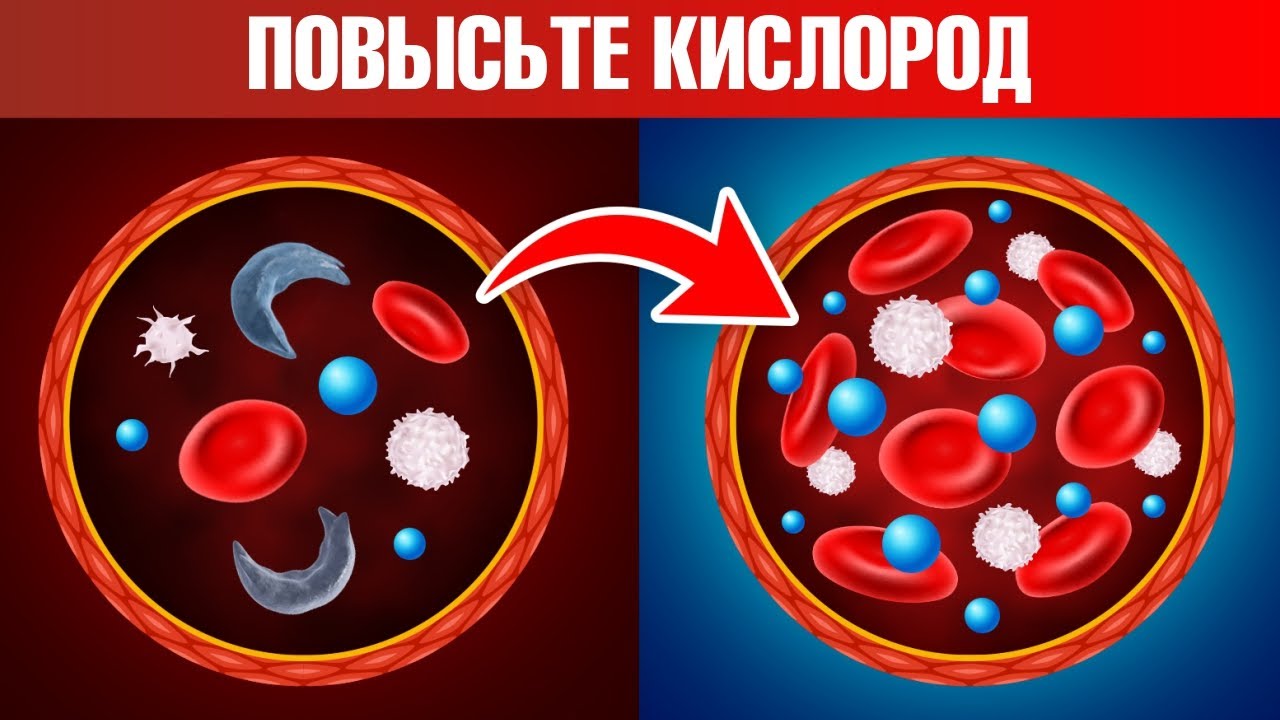 Как повысить уровень кислорода в крови и в клетках? Есть секрет 🙌