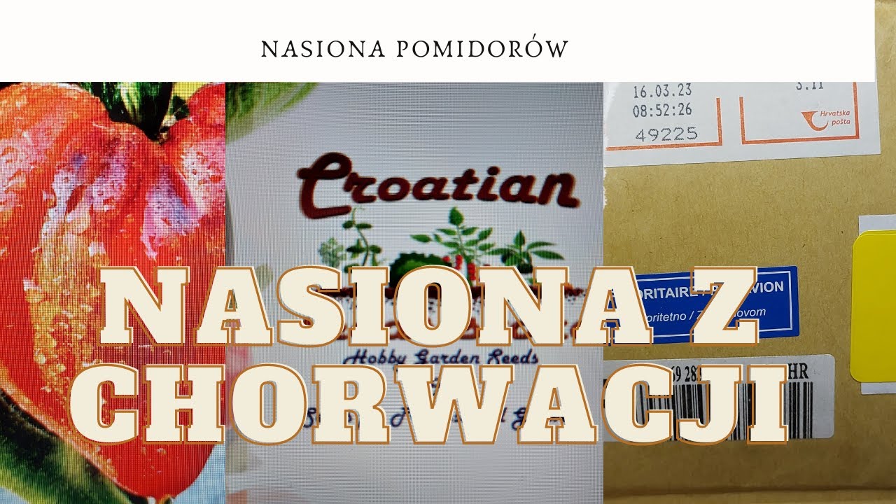 Nasiona z Chorwacji 👍 CROATIAN SEEDS STORE 🍅