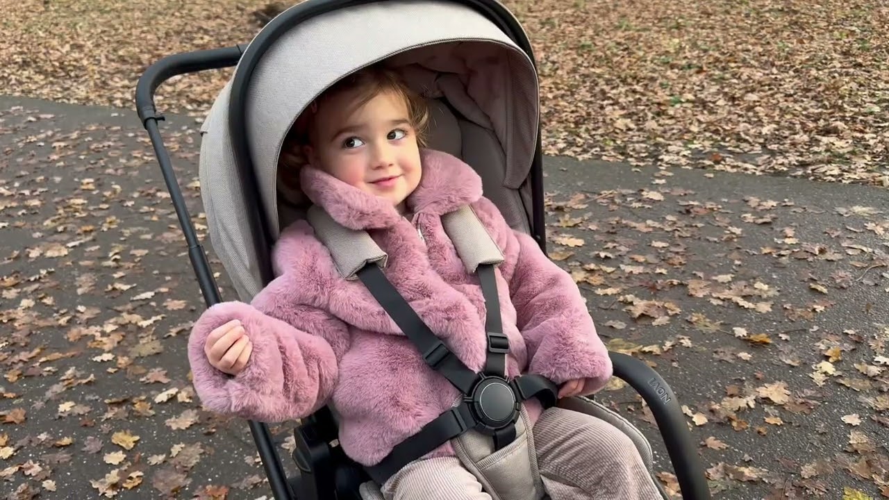 Novi Kinderwagen Luna premium