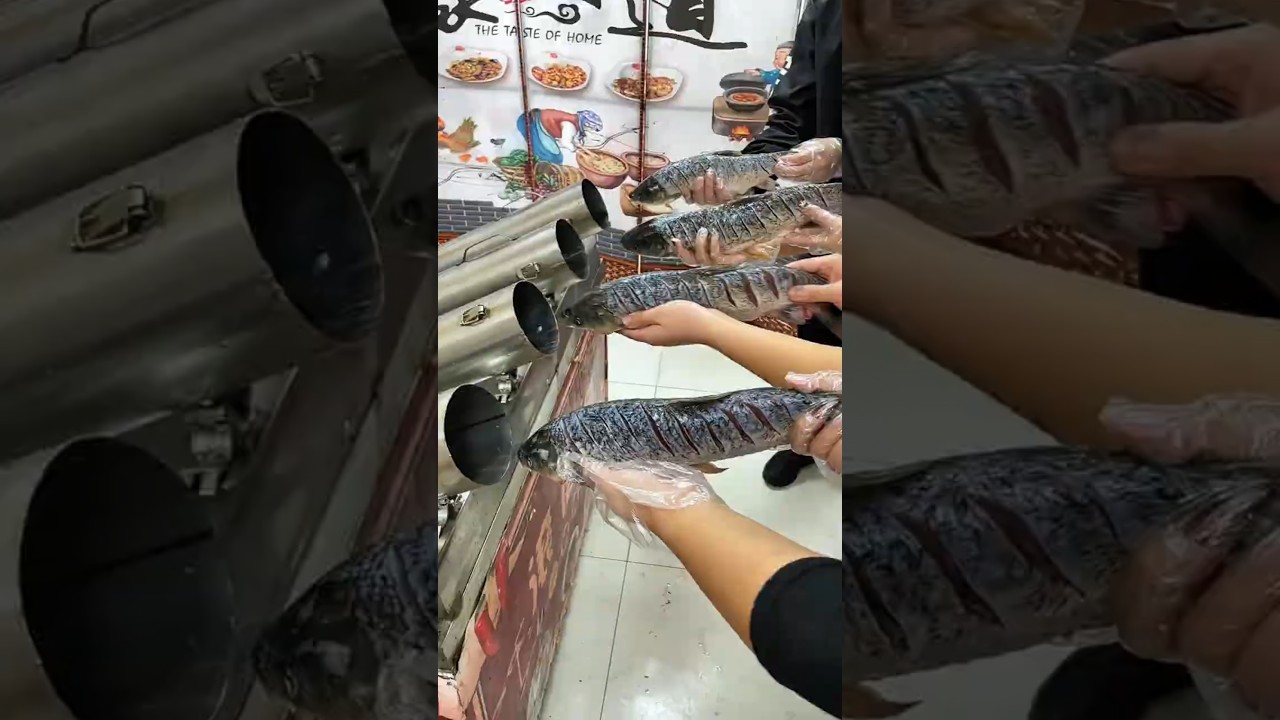 Steam Grilled Fish in a Tube  #fishing #unique #food #viral