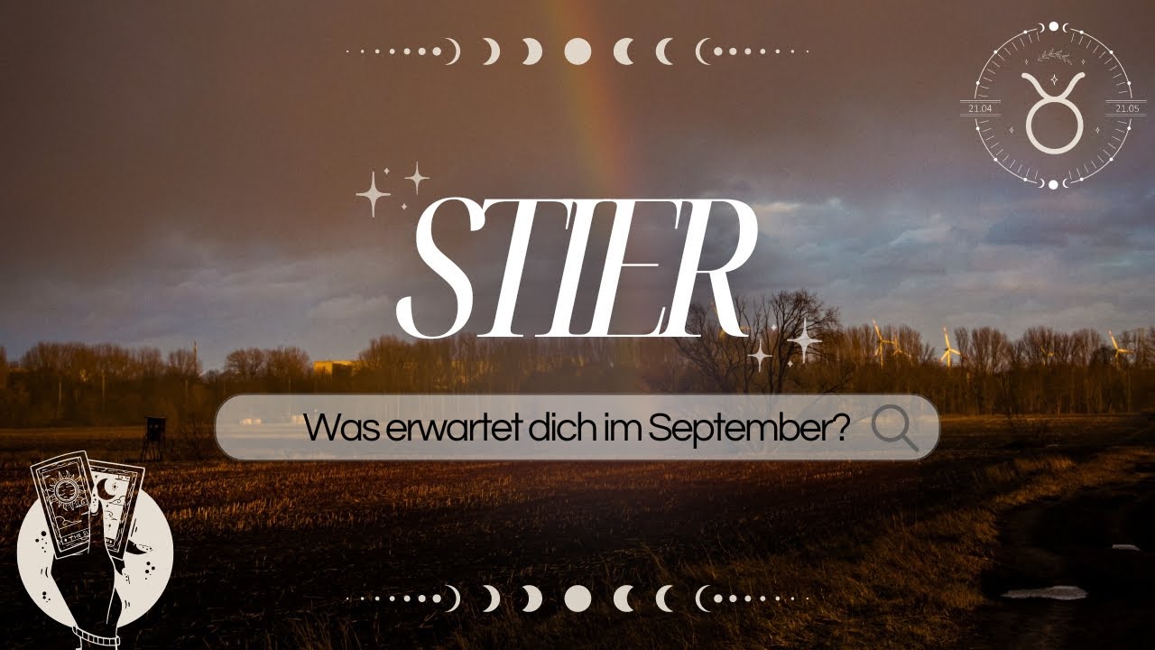 STIER I Wir müssen wissen, was wir wollen I September 2024
