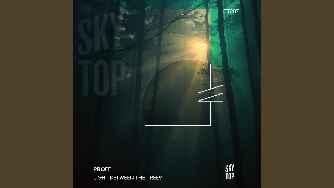 Light Between the Trees