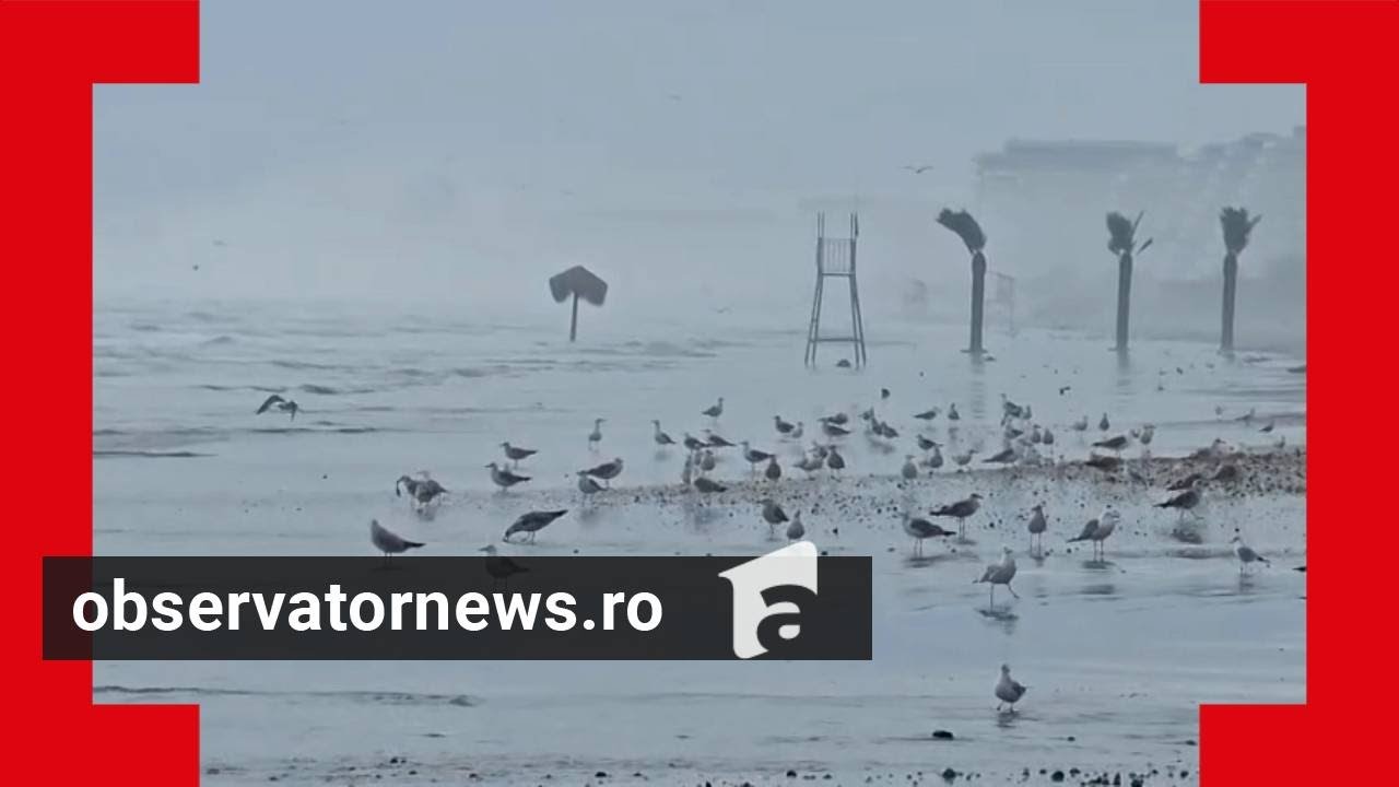 Fenomen bizar la Marea Neagră. De zece ani nu s-a mai întâmplat aşa ceva