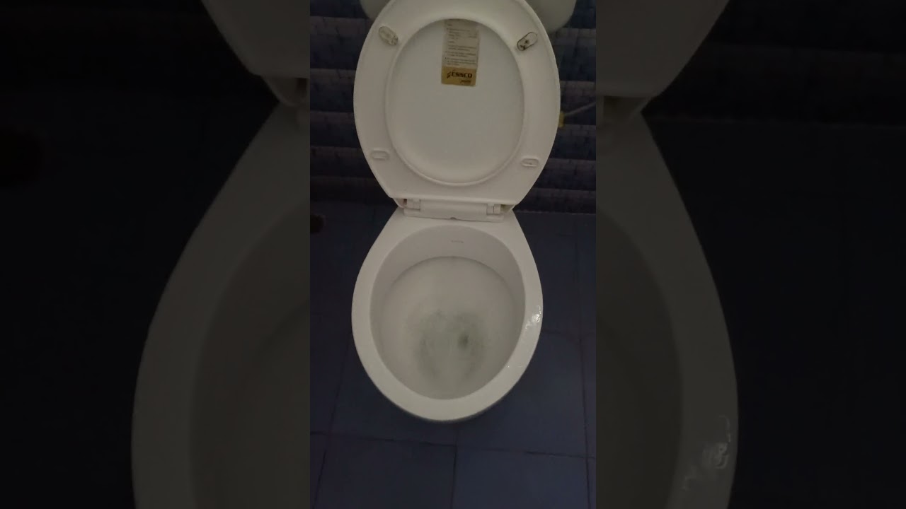 How to flush the toilet