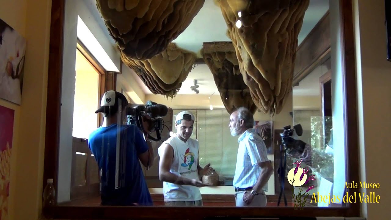 Making of de 