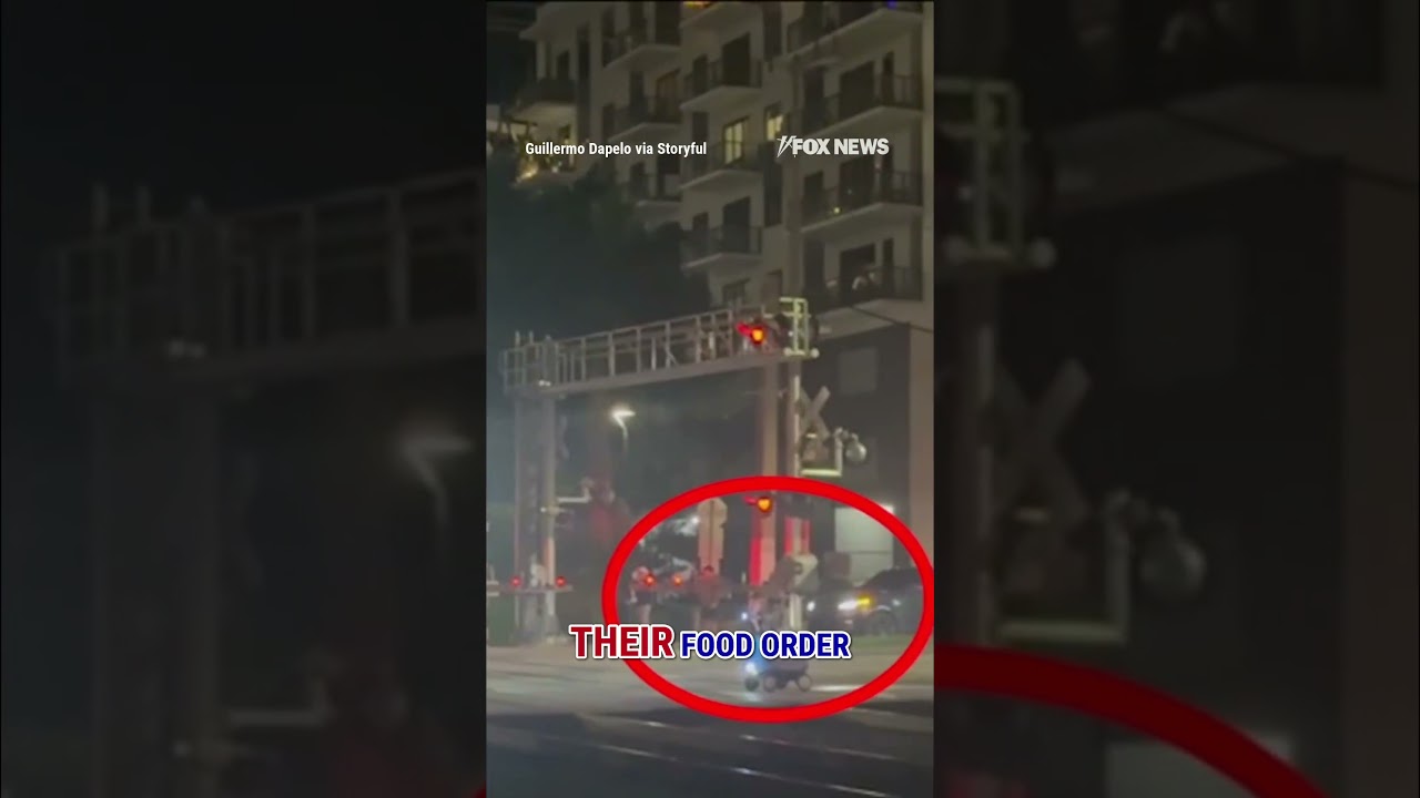 SEE IT: Delivery robot gets CRUSHED by oncoming train 
