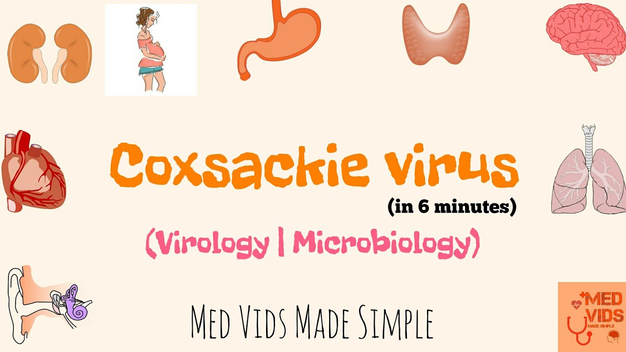 Вирус Коксаки | Микробиология | Med Vids Made Simple