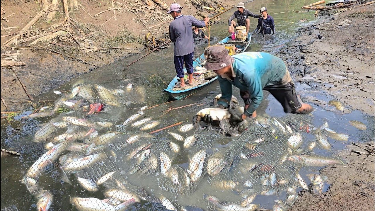 đi kích cá vuông tôm cù thành quả quá bất ngờ _ xiêt cá