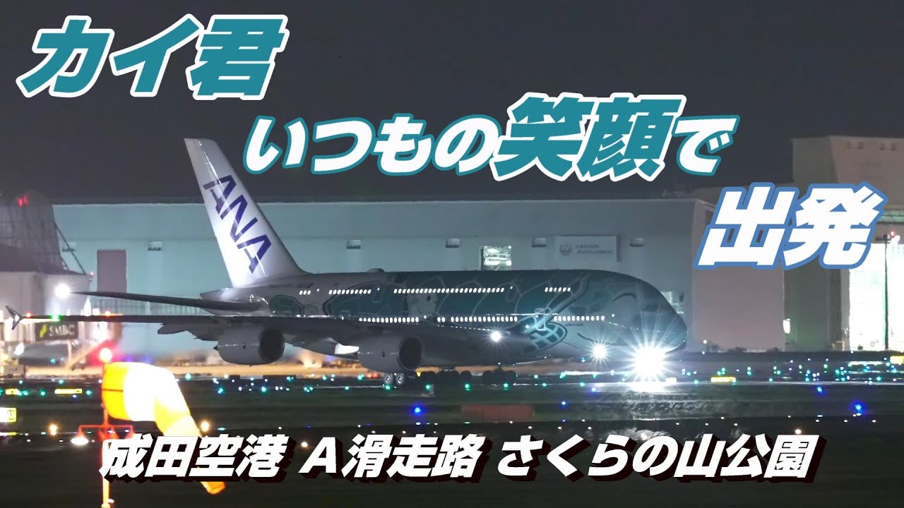 【4K】成田空港 さくらの山公園 全日空 超巨大旅客機 フライング・ホヌ カイ君 いつもと変わらない笑顔でハワイへ出発