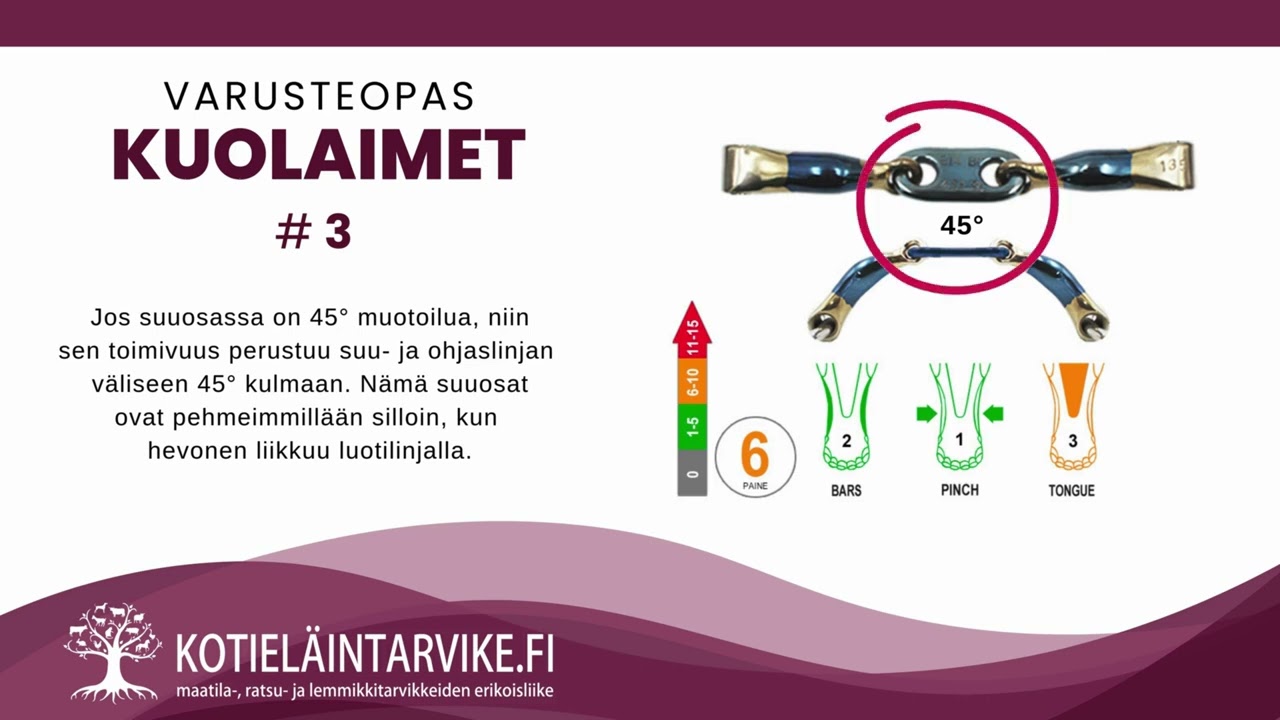 Varusteopas - Kuolaimet #3