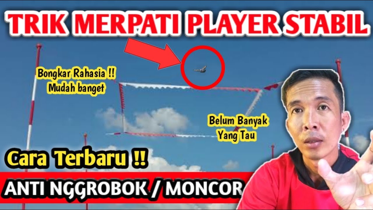MERPATI PLAYER NGGROBOK ? CARA INI 100% MANJUR AUTO STABIL !!