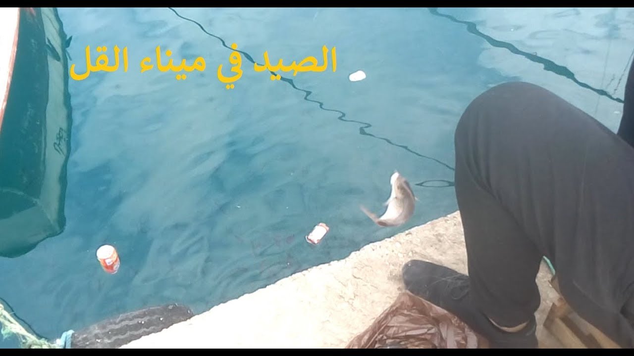 يوم صيد ممتع شرق الجزائر (ميناء القل -سكيكدة ) وفي انتظار  موسم الشرغو