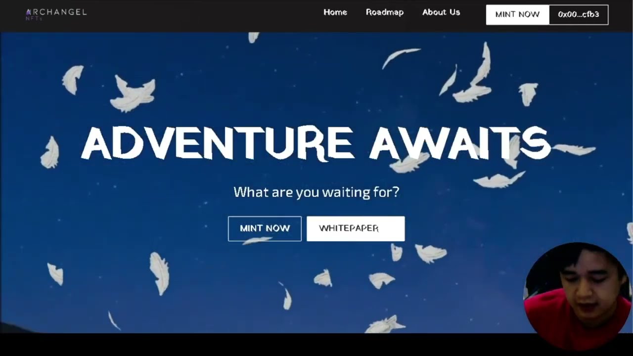 ARCA Token Review INCOMING PUBLIC IDO (Archangel NFTs)