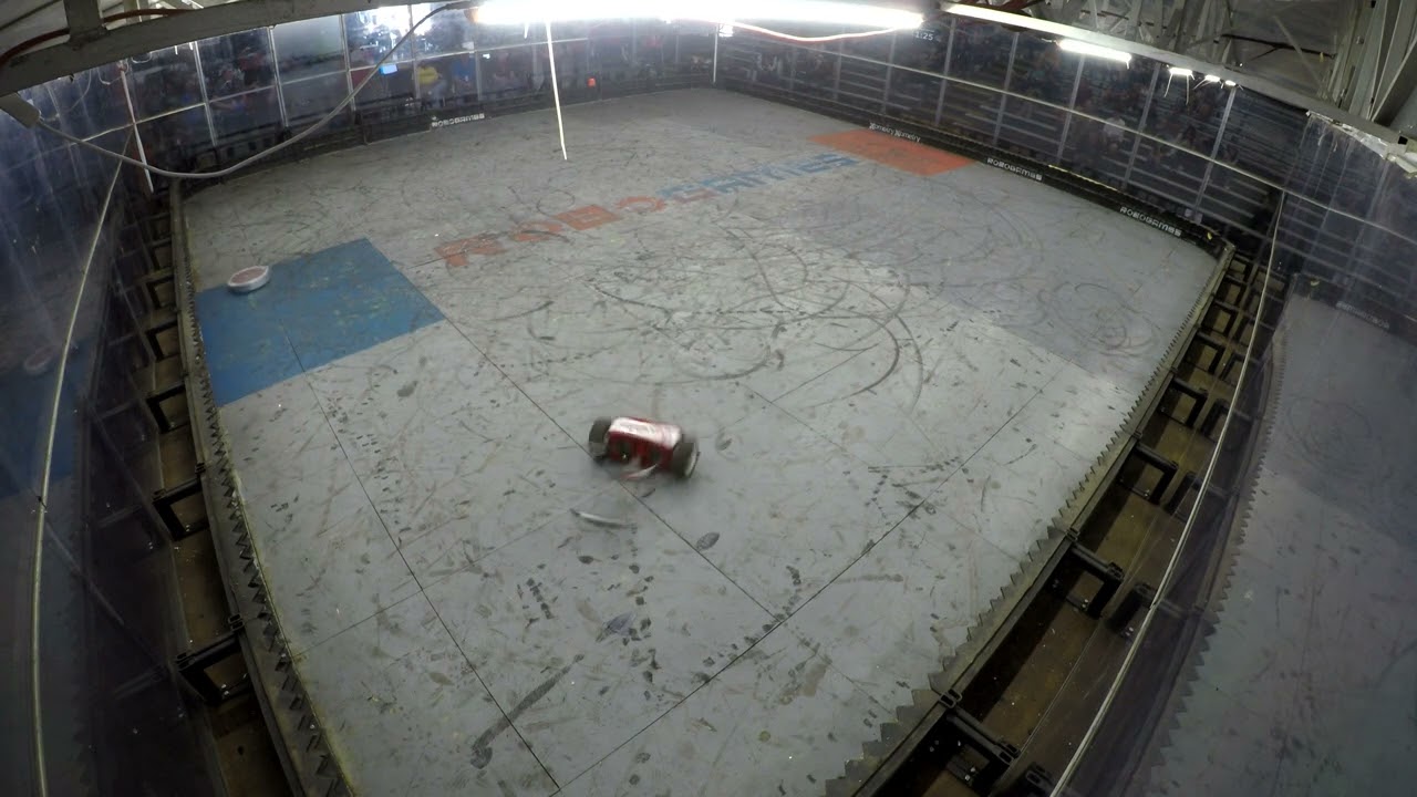 RoboGames 2024 - Torment Nexus vs Herr Gepounden
