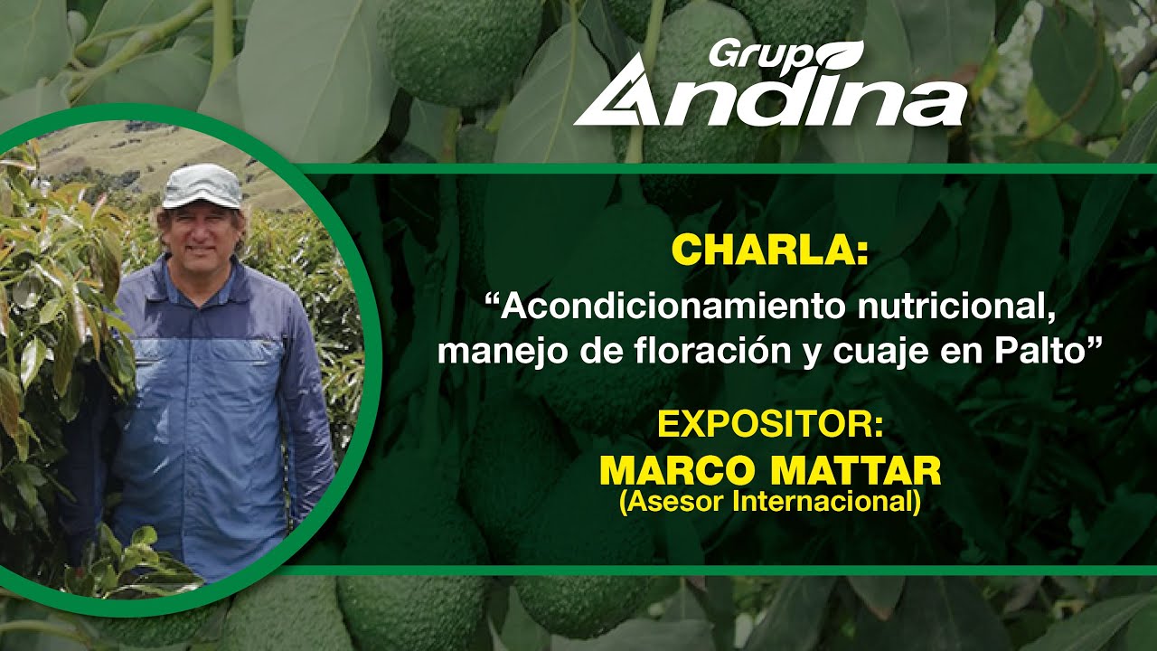 Charla sobre  el acondicionamiento nutricional, manejo de floración y cuaje en Palto.