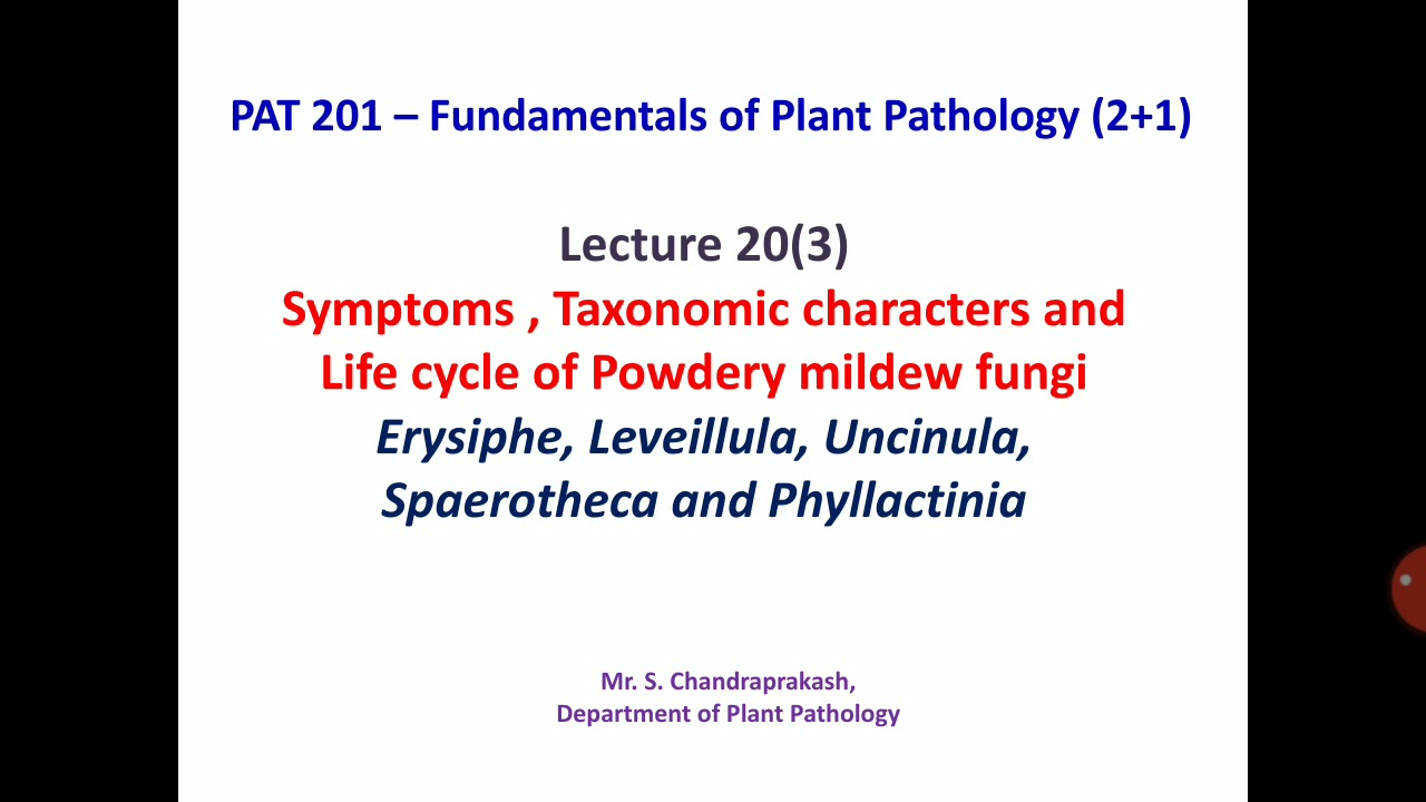 Lecture 20 (3) - Symptoms and life cycle of Powdery mildew fungi - PAT - 201