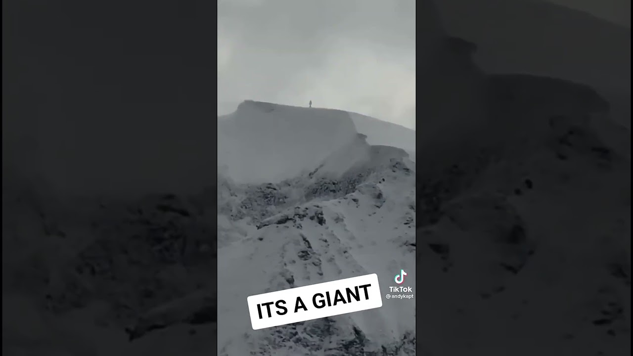Top 3 Yeti Caught On Camera