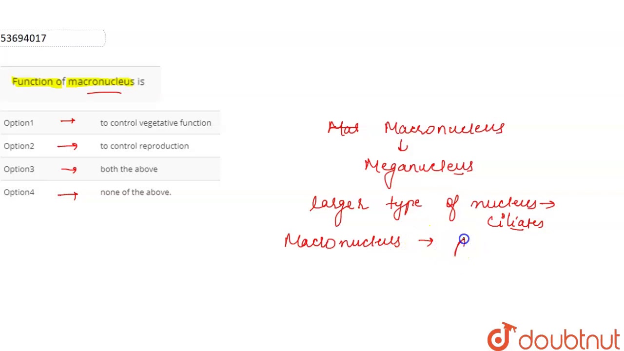 Function of macronucleus is