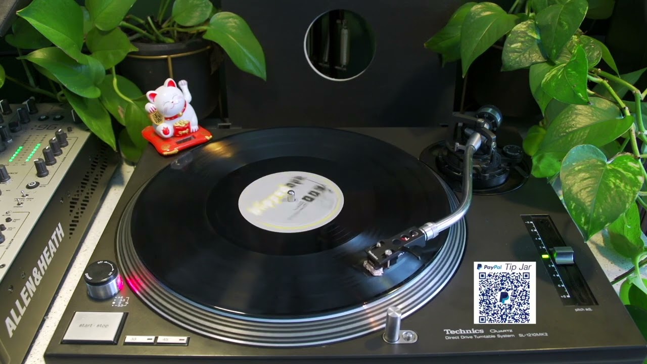 Mr Burns And&nbsp;DJ V - Untitled [Blipped Out &ndash; BLIP003]