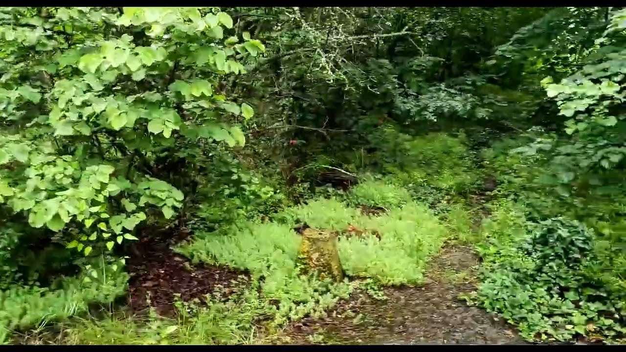 The Beauty of Nature E10