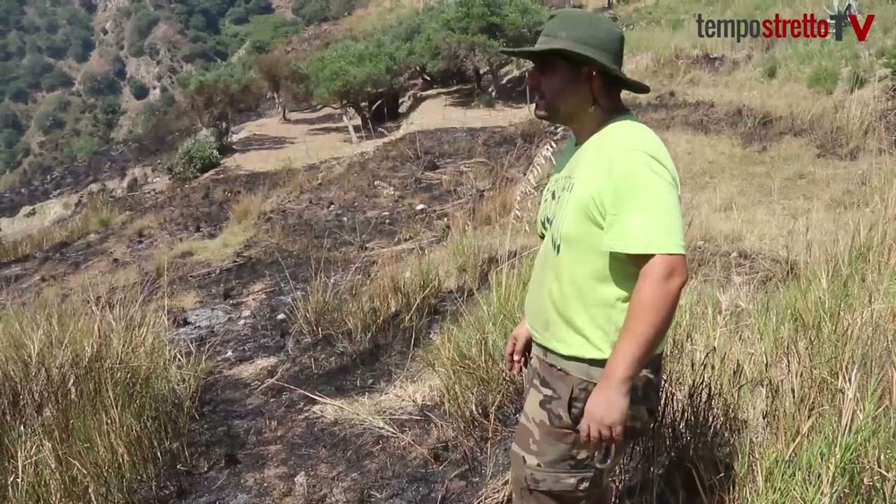 In fiamme le colline di Larderia: 