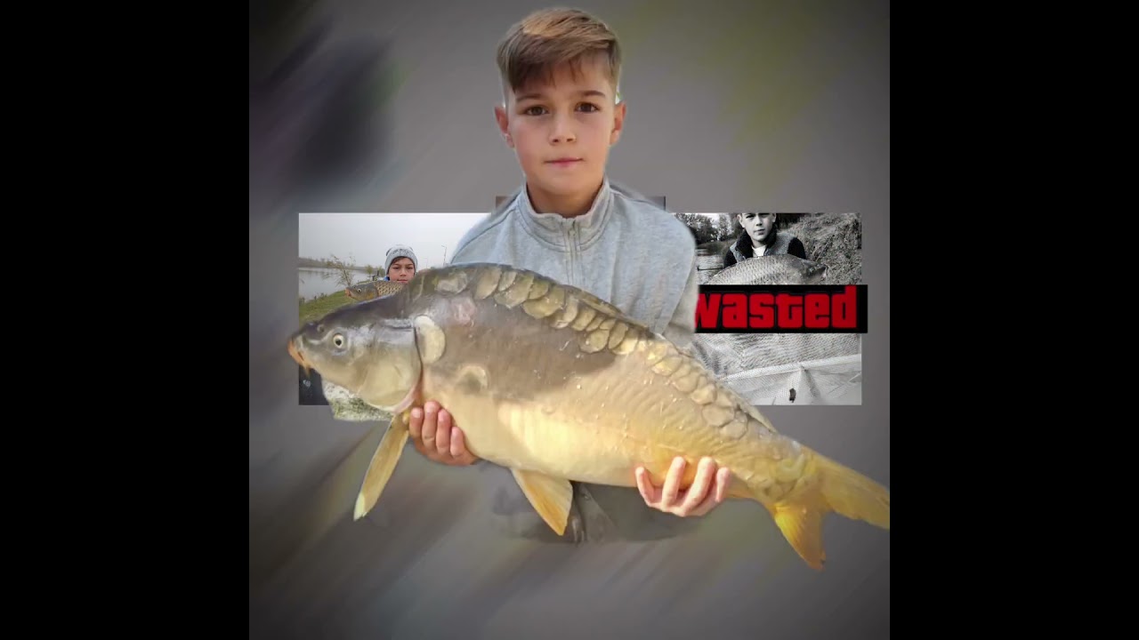 pescuit