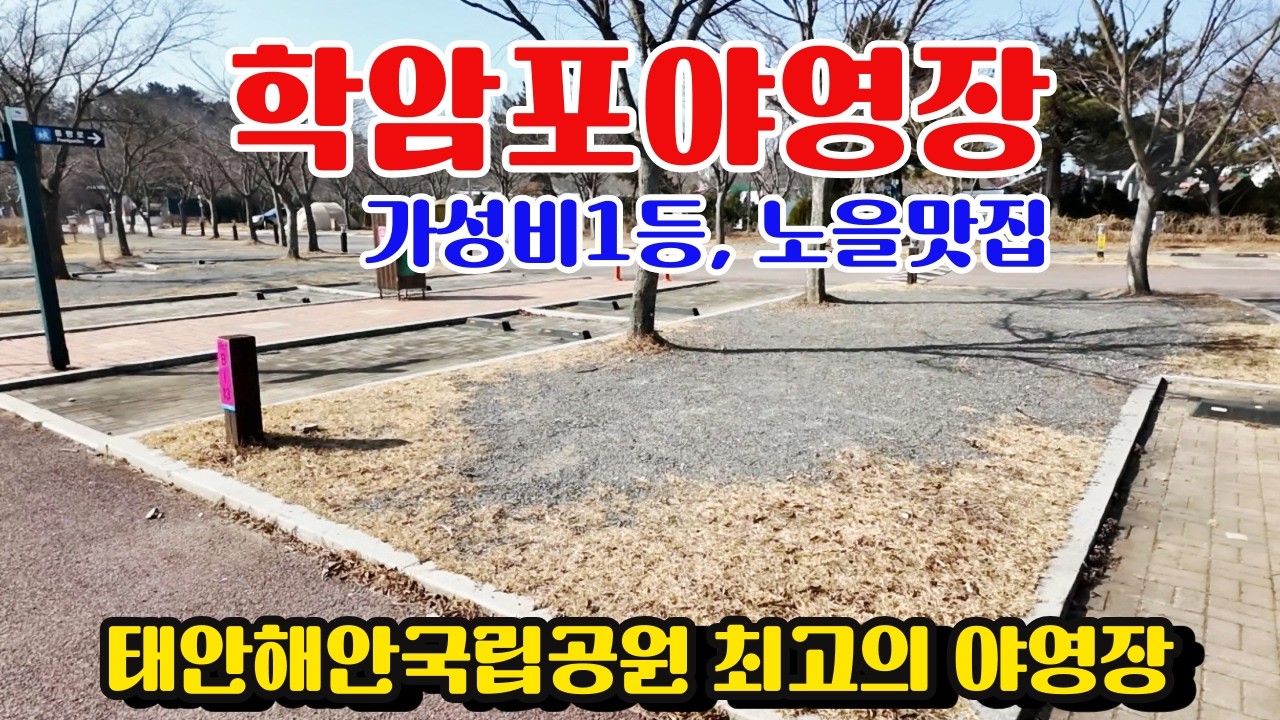 태안 학암포야영장 캠핑 리뷰, 배치도와 명당테크 이용 후기 꿀팁! 국립공원 야영장 추천