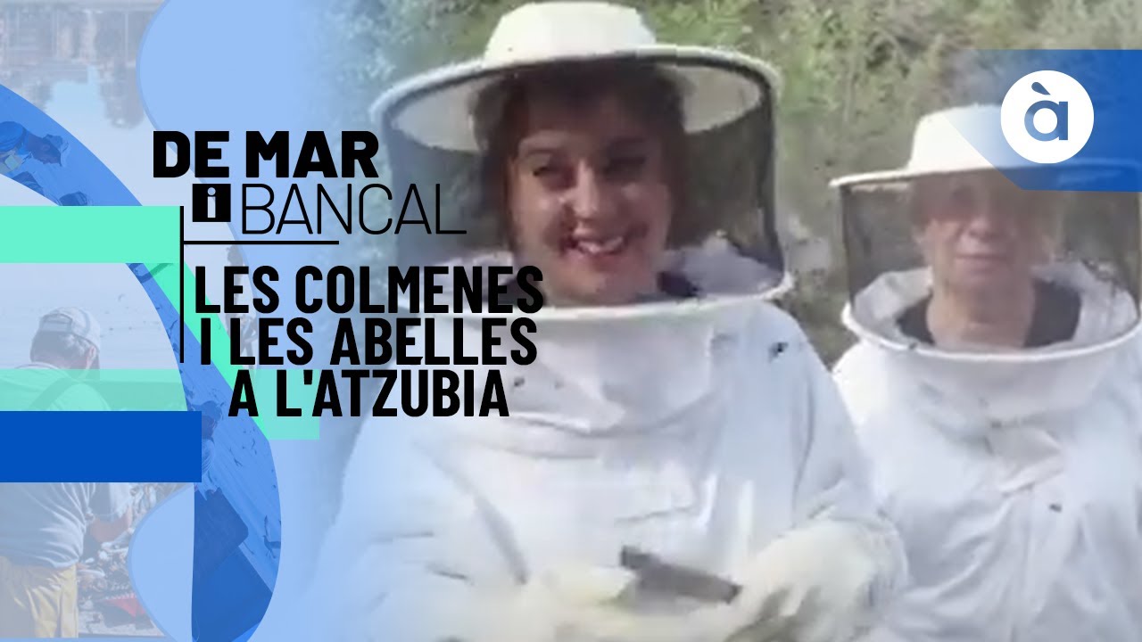 Les colmenes i les abelles a L'Atzúbia - De mar i bancal