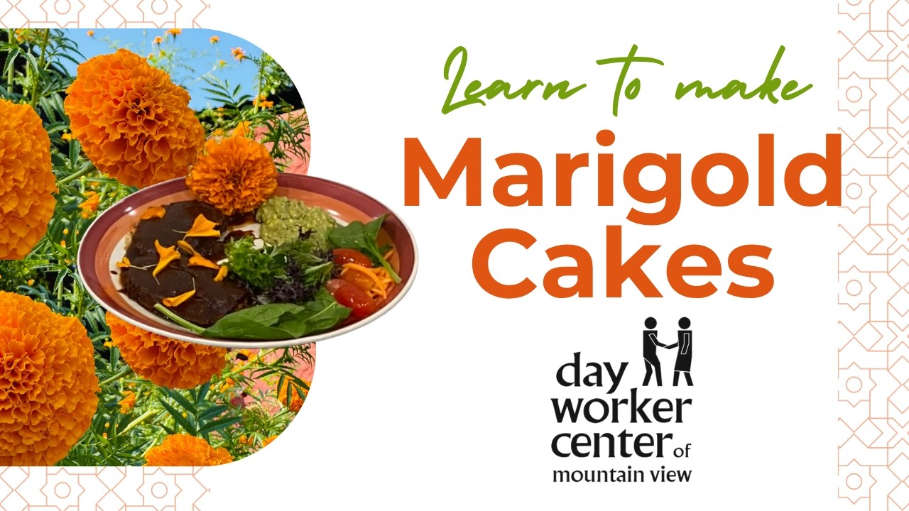 Learn How to Make Marigold Cakes