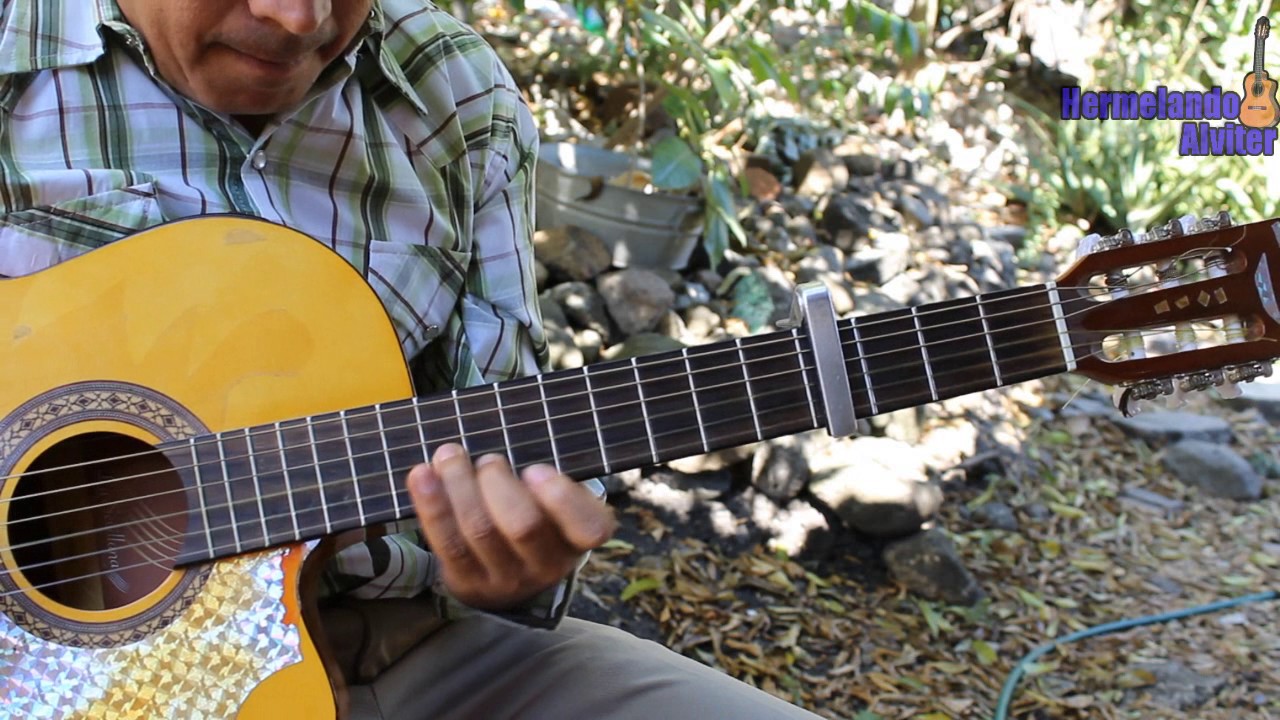 Nadie es eterno en el mundo cover //Los Armadillos de la Sierra //Cómo tocar guitarra - Requinto