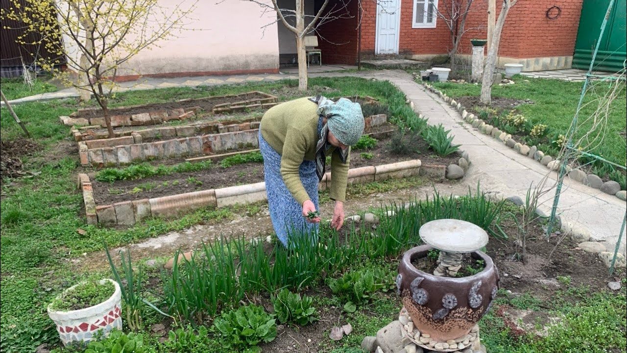 Пенсионная весна в Грозном : простая жизнь .