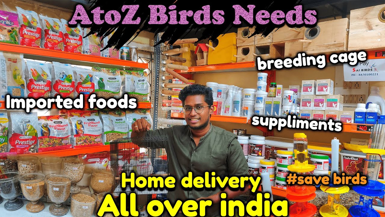 1200 Bird products in a single place🔥