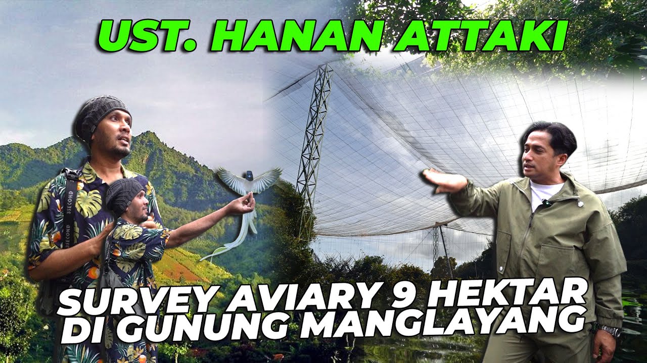 UST. HANAN ATTAKI TAKJUB LIAT AVIARY..! SURVEY UNTUK AVIARY DI GUNUNG MANGLAYANG..!