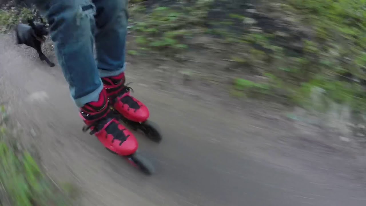 Rattlesnake Wilderness Mountain Blading