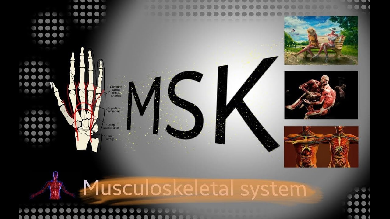 MSK - Session 2 - Seminar 2 - Osteology of Upper limb