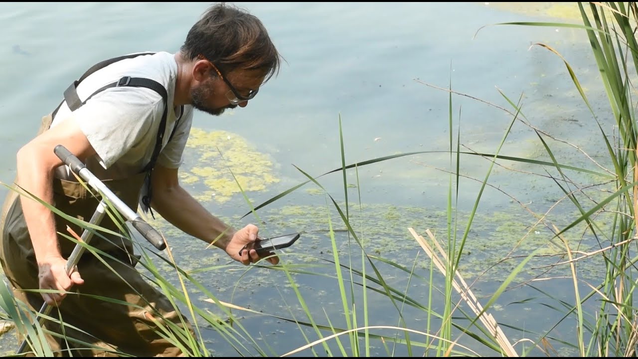 TRCA's Regional Watershed Monitoring Program: Celebrating 25 Years of Impact