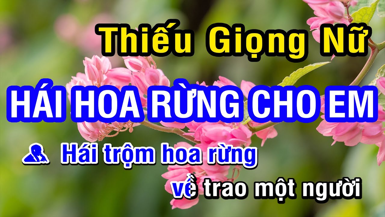 KARAOKE Hái Hoa Rừng Cho Em Thiếu Giọng Nữ | Nhan KTV
