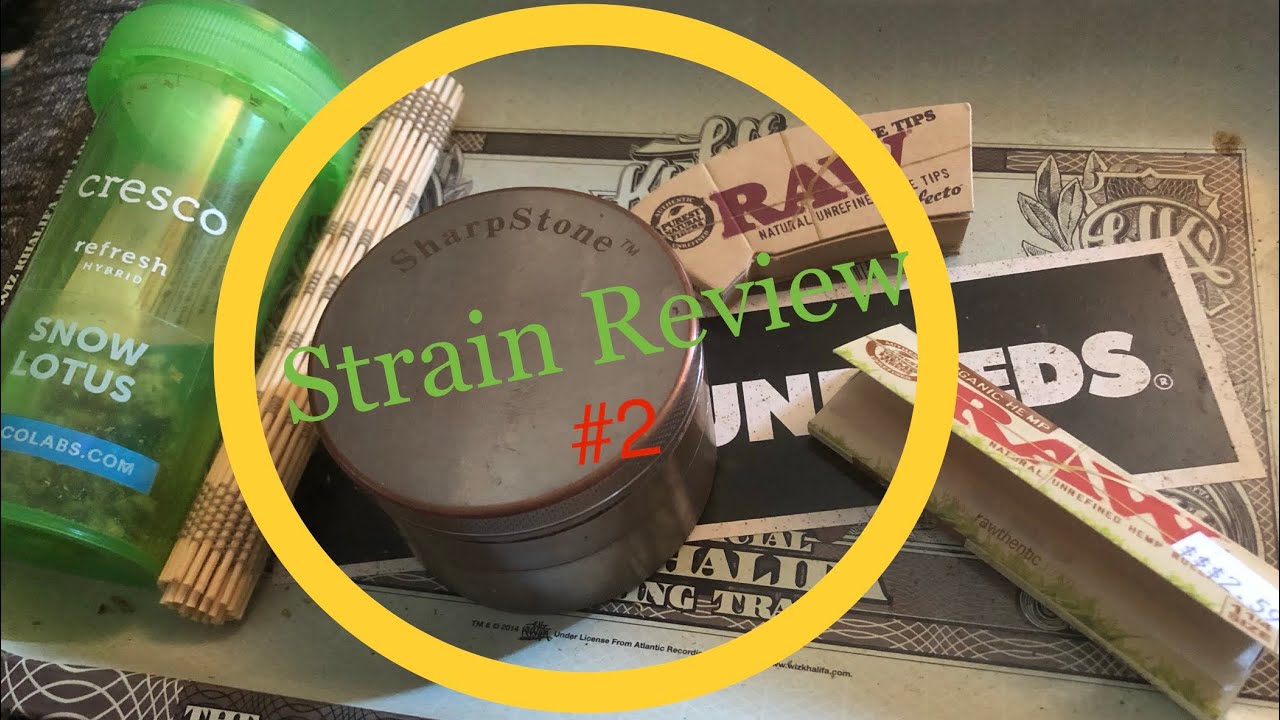 Strain Review #2! (Illinois Medical Marijuana Review)