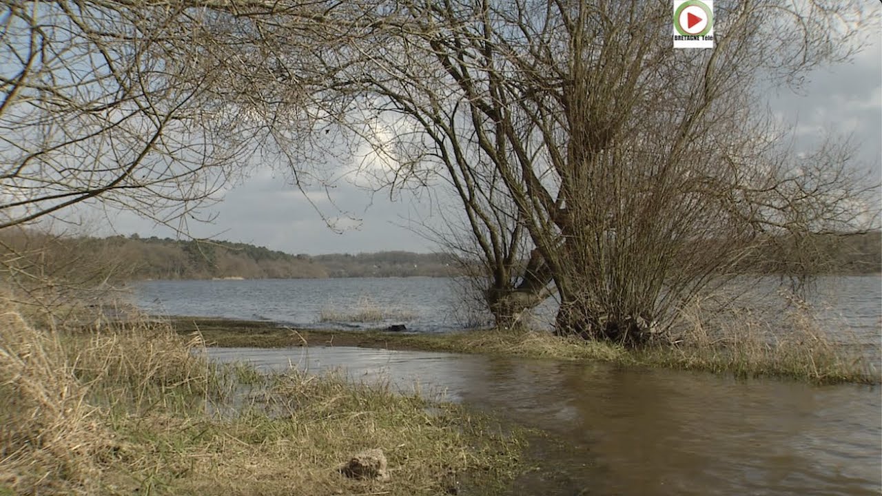 PLO&Euml;RMEL  🇲🇫 |  Le Lac au Duc en Hiver |  Bretagne T&eacute;l&eacute;
