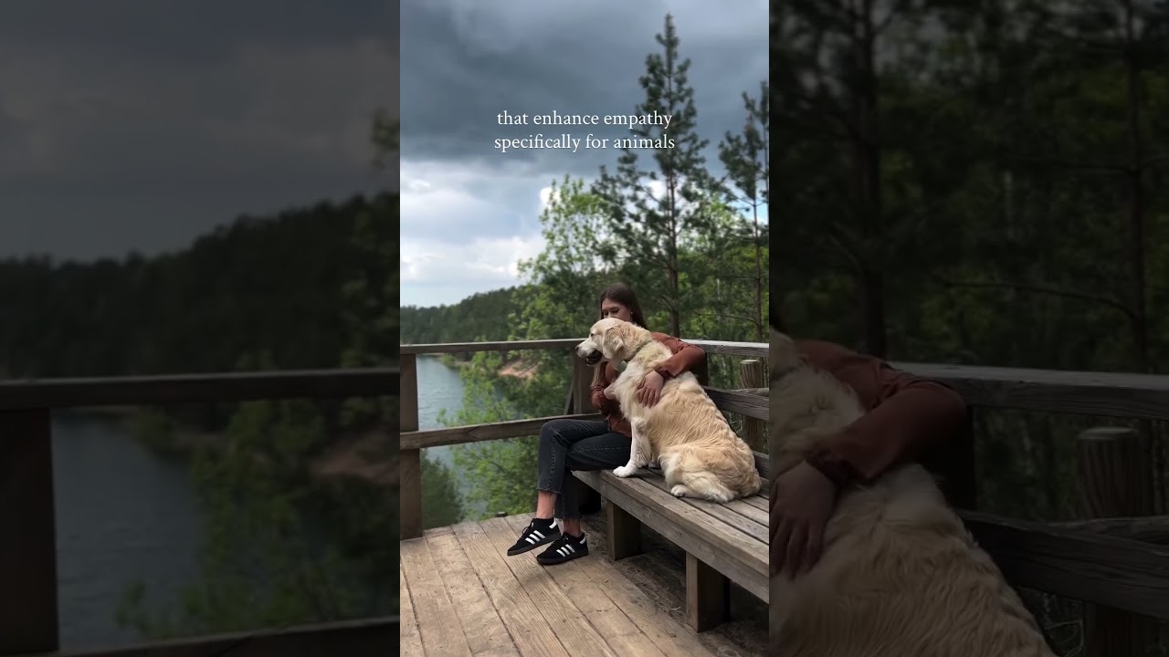 The Unspoken Bond Between You & Your Dog ✨