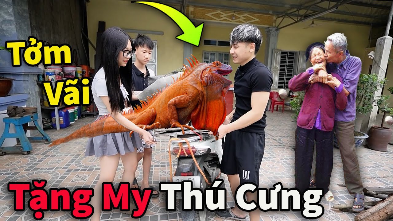 Hậu Cáo - Bỏ 3 Triệu Mua Thú Cưng Tặng My || Hậu Cáo Tán Gái